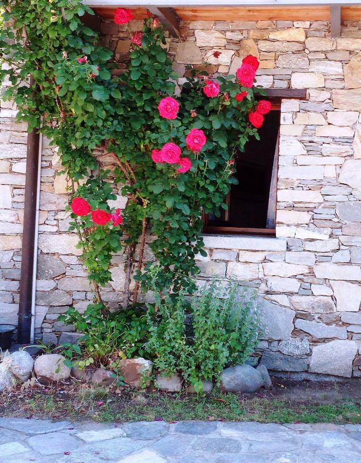 Villa Casa Cicala Trarego Exterior foto